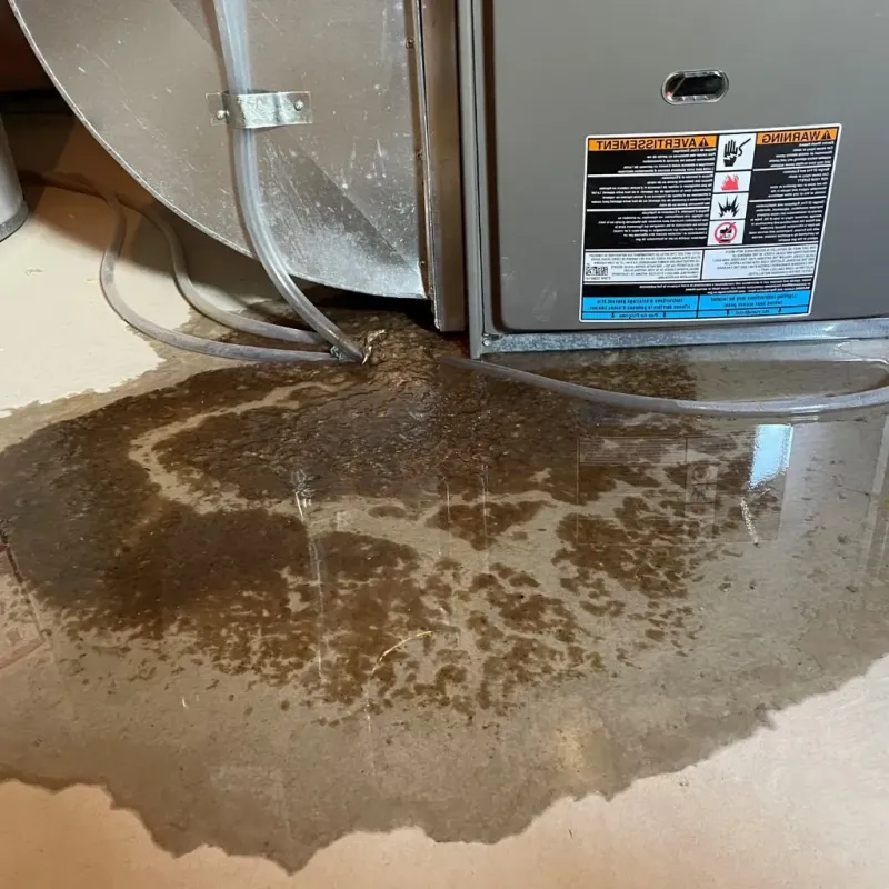 Pipe Burst and Leak Restoration in Sterling, KS