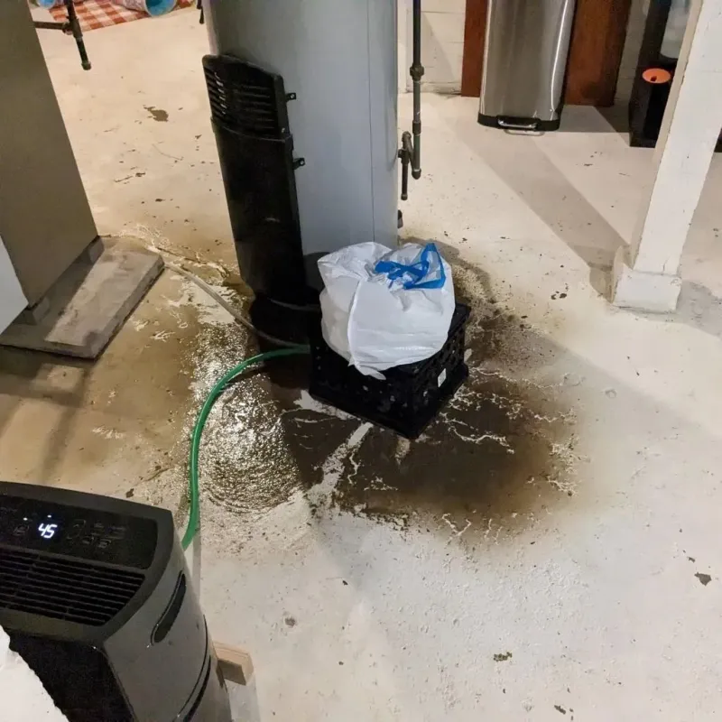 Sewage Backup Cleanup Service in Sterling, KS